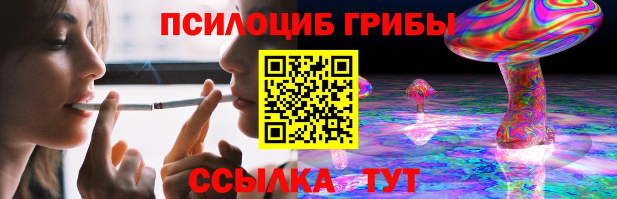 Галлюциногенные грибы Psilocybine cubensis Мичуринск