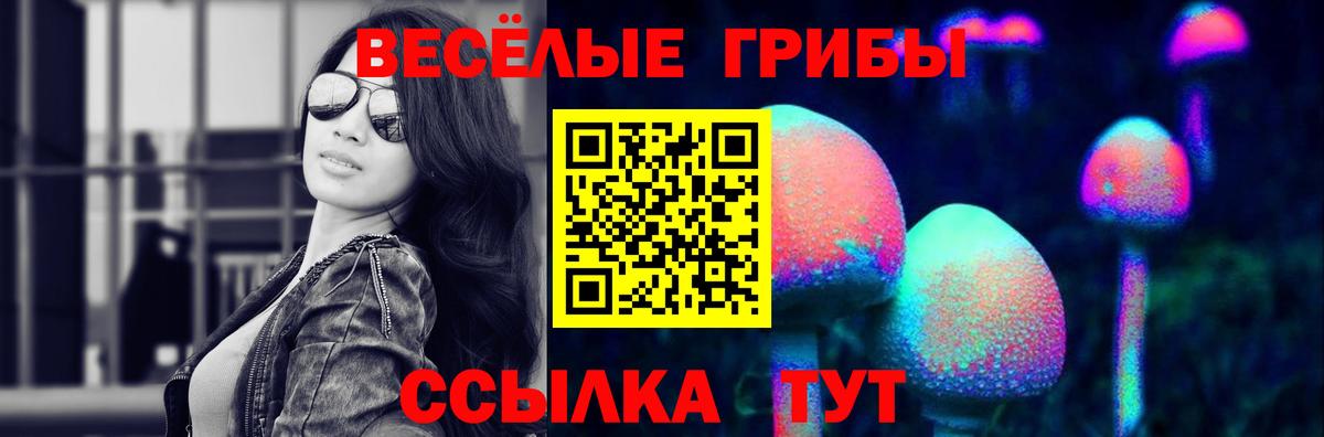 наркотики  Псилоцибиновые грибы Magic Shrooms  Псилоцибиновые грибы мицелий  Вход с VPN  Мичуринск 